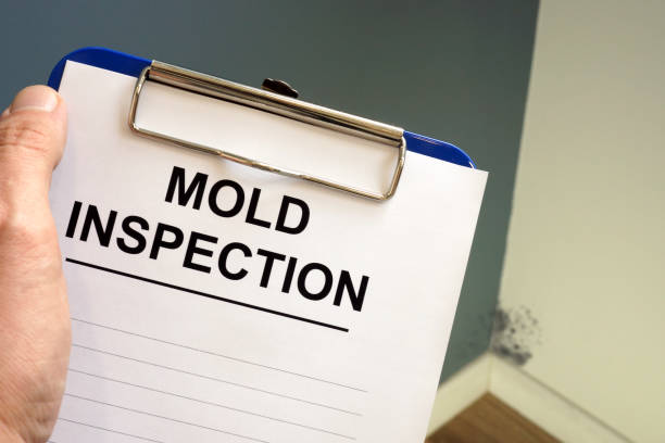 Best Residential Mold Inspection & Testing  in Somerset, TX